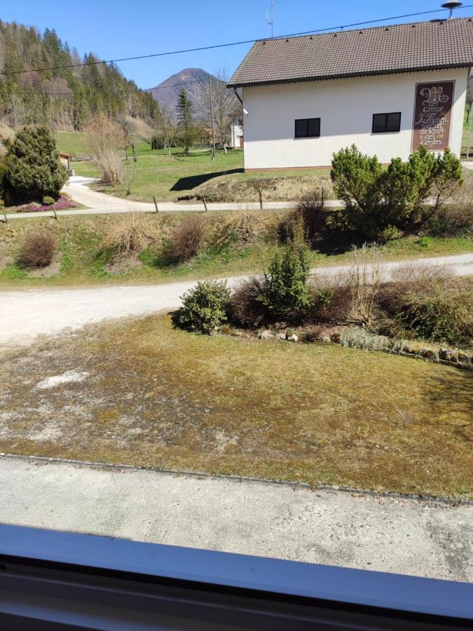 Gaestehaus Duernberger - Klein, Aber Fein - Gemuetliche Zimmer In Ruhiger, Idyllischer Lage Molln Kültér fotó